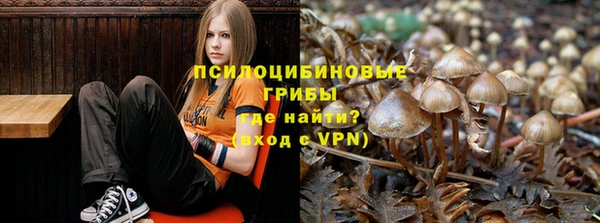 трава Краснослободск